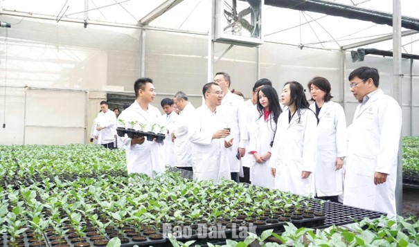 Thu hút đầu tư bằng những chính sách đột phá